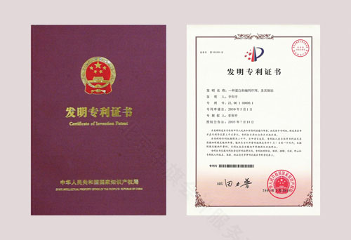 專利證書示意圖認識就行了.jpg