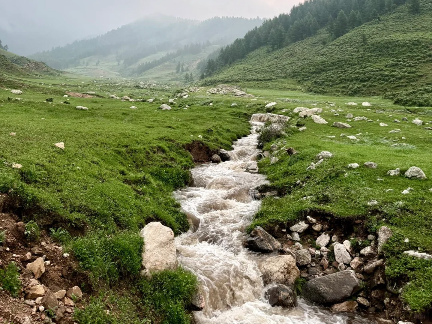 蘆茅山這風景不錯吧? 蘆茅山這風景不錯吧?