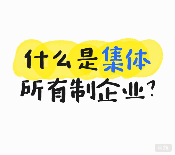 什么是集體所有制企業? 什么是集體所有制企業?
